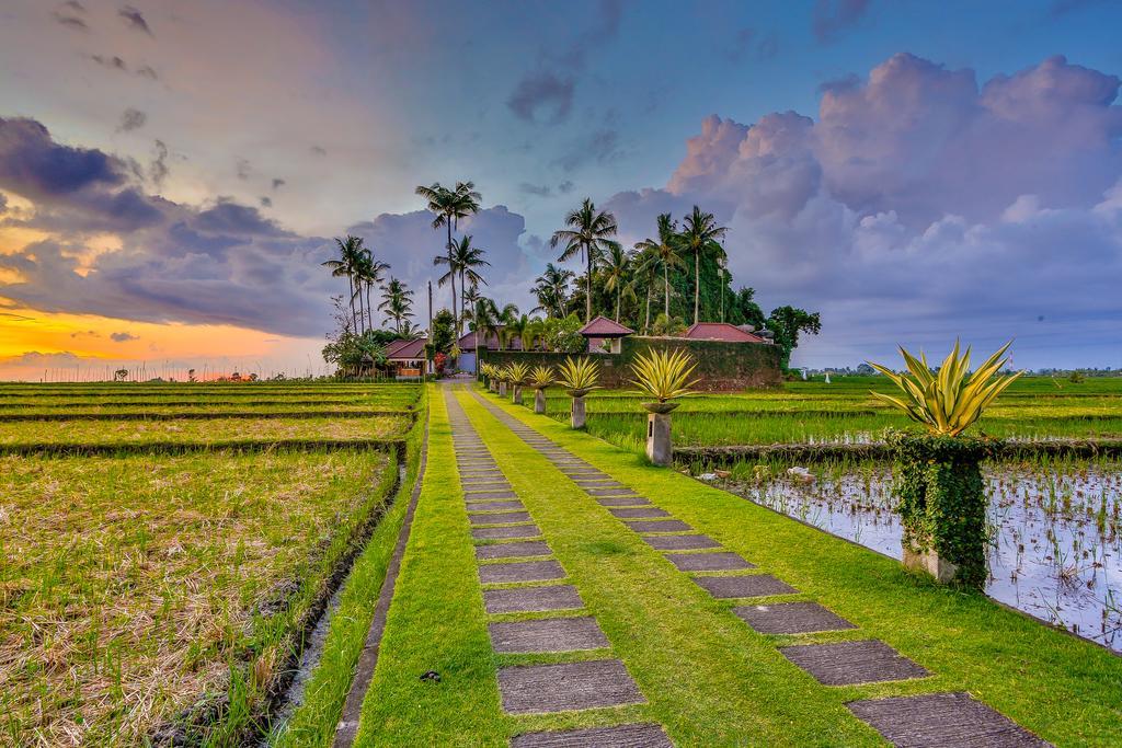 Villa Kaba Kaba Resort Canggu  Exterior photo